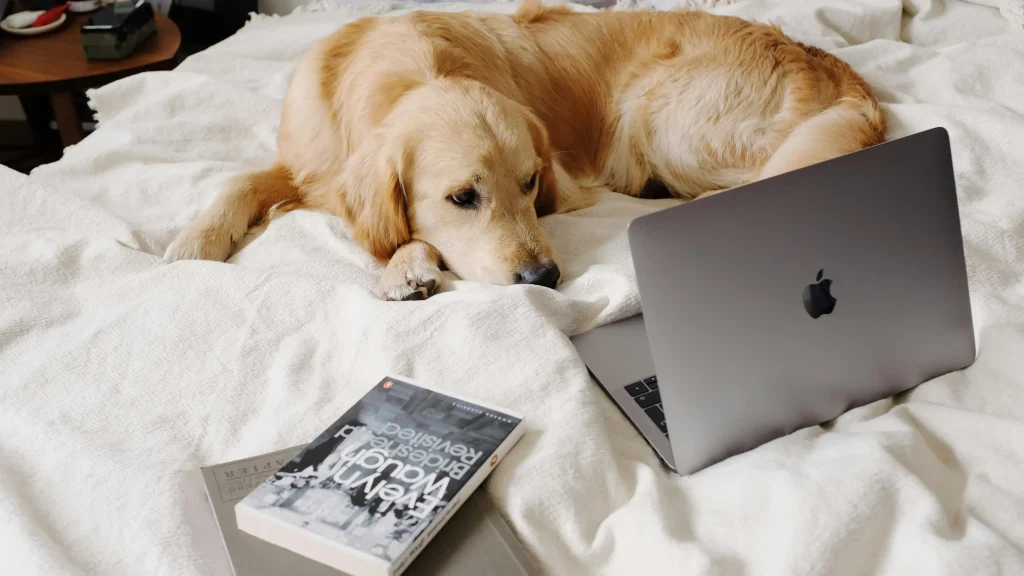 A side-by-side comparison of a messy paper notebook and a sleek digital journal app on a tablet showing photos and location tags